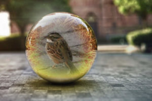 pássaro dentro de bola de vidro ilustrando o período de distanciamento social devido à Covid-19.